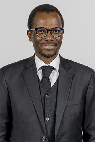 Official photograph of David Masondo